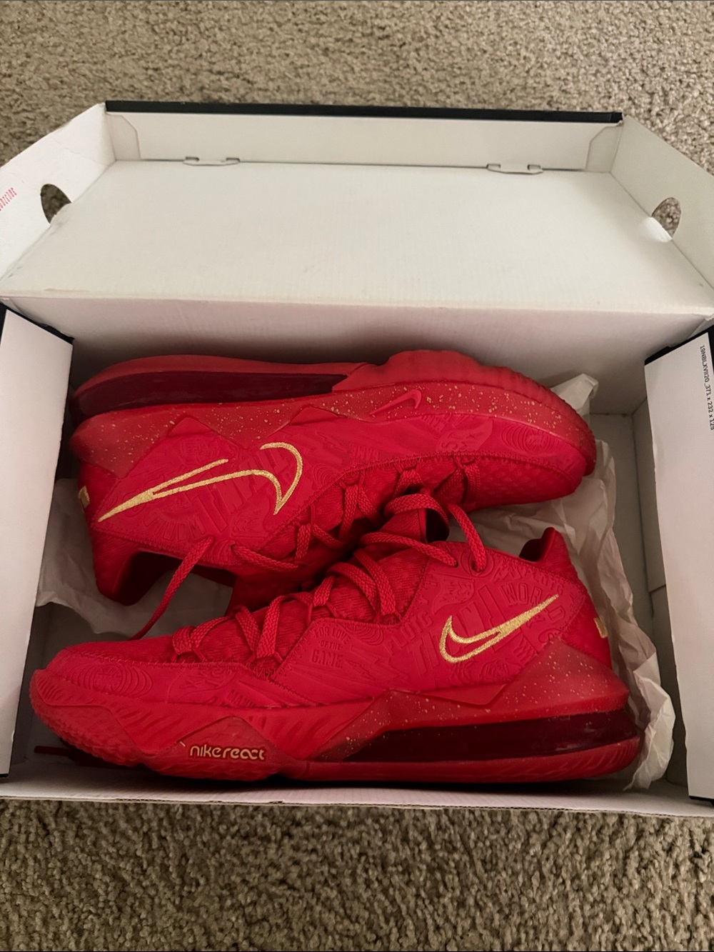 LeBron sneakers